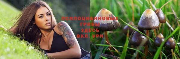 МДМА Куйбышев
