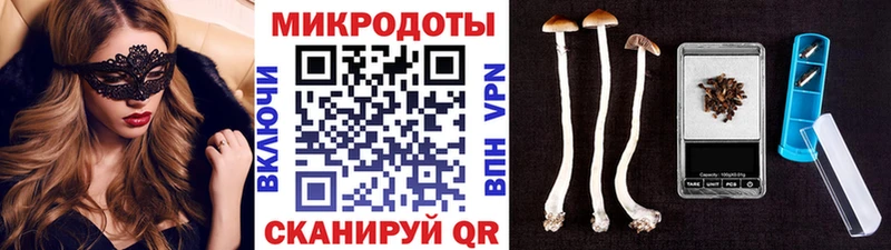 Купить где  Георгиевск  Галлюциногенные грибы MAGIC MUSHROOMS 